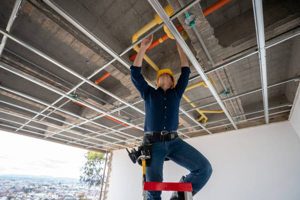 Best Local Plumber Services  in Niagara, WI