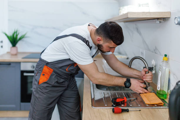 Best Toilet Repair Services  in Niagara, WI