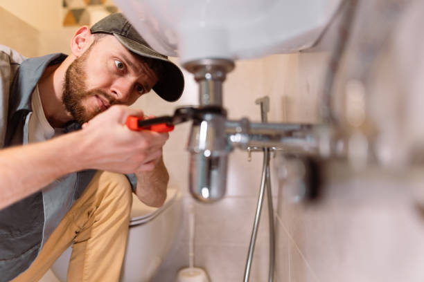 Best Plumbing Services Near Me  in Niagara, WI